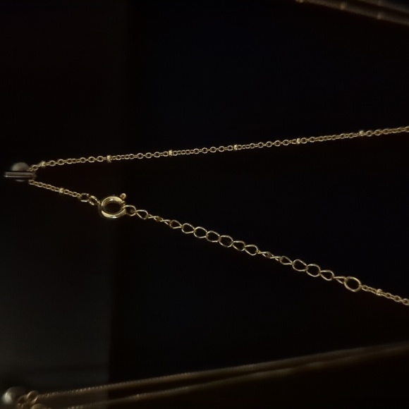 2/$30 Deal! Mother of Pearl Necklace - Picture 3 of 3